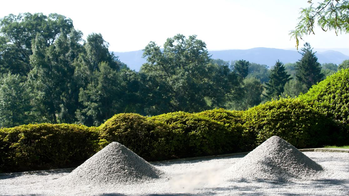 Japanese Garden Tour | Rockefeller Brothers Fund